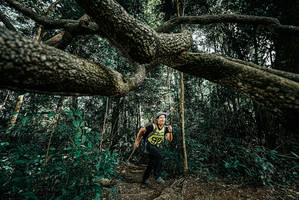 BIB: 
                            <button type="button" onclick="openModal(25706116)" class="btn btn-primary btn-sm float-right btn-popup" data-toggle="modal" data-target=".modal-high-quality">
                        <i class="fas fa-shopping-cart"></i> Add to Cart
                    </button>
                                            <button type="button" onclick="isThisMe(25706116, true)" class="btn btn-success btn-sm float-right btn-popup btn-isme hidden" data-toggle="tooltip" data-placement="bottom" title="นี่คือรูปของคุณใช่ไหม คลิกที่นี่เพื่อเอาเข้าอัลบั้ม">
                        <i class="fas fa-plus"></i> Add to album
                    </button>
                    <button type="button" onclick="isThisMe(25706116, false)" class="btn btn-warning btn-sm float-right btn-popup btn-isnotme hidden">
                        <i class="fas fa-ban"></i> Remove from album
                    </button>